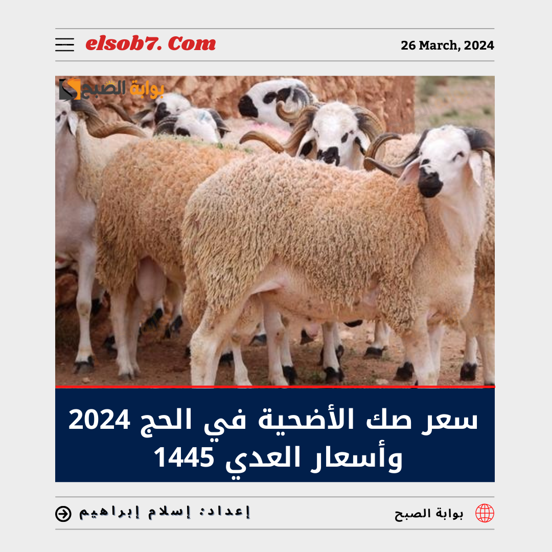 سعر صك الأضحية في الحج 2024.. تعرف على أسعار الهدى 1445