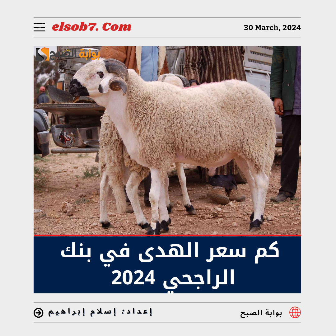 كم سعر الهدى في بنك الراجحي 2024؟.. تعرف على أسعار الأضحية في الحج 1445 5 كم سعر الهدى في بنك الراجحي 2024؟.. تعرف على أسعار الأضحية في الحج 1445