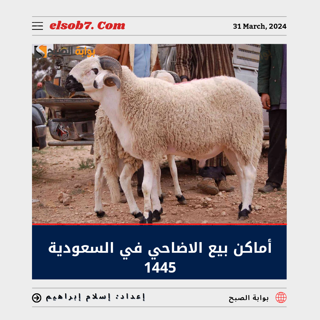 اماكن بيع الاضاحي في السعودية 1445.. وأسعار صك الأضحية 2024 5 اماكن بيع الاضاحي في السعودية 1445.. وأسعار صك الأضحية 2024
