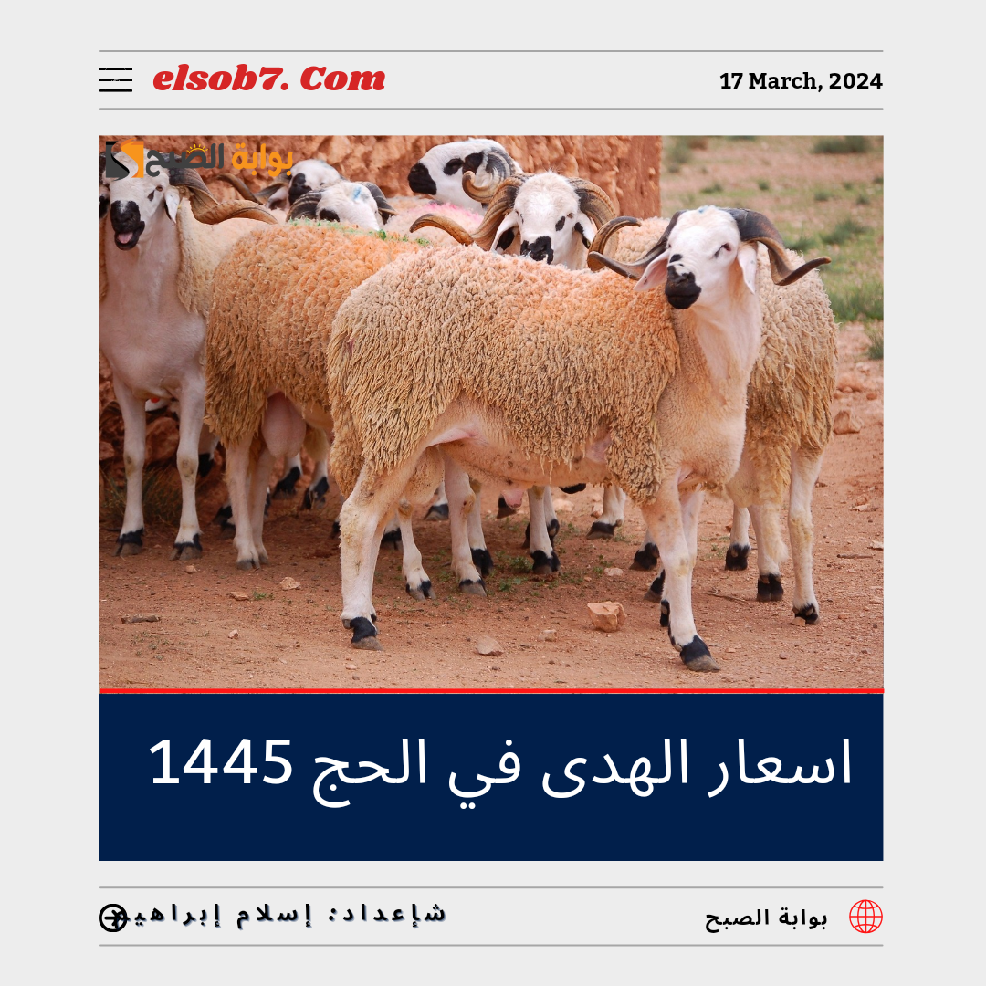 "سعر صك الأضحية".. كم اسعار الهدى في الحج 1445؟ 6 “سعر صك الأضحية”.. كم اسعار الهدى في الحج 1445؟