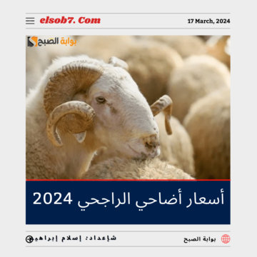 أسعار أضاحي الراجحي 2024 وسعر صك الأضحية 1445.. تعرف عليه
