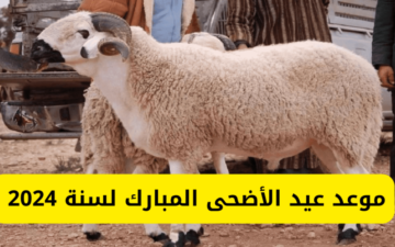 فاضل أيام.. موعد عيد الأضحى المبارك ويوم وقفة عرفة 2024 والاجازات الرسمية للموظفين