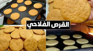 طريقة القرص الناشفة الاقتصادية بطعم ورائحة مثل الأفران مقرمشة وهشة من الداخل