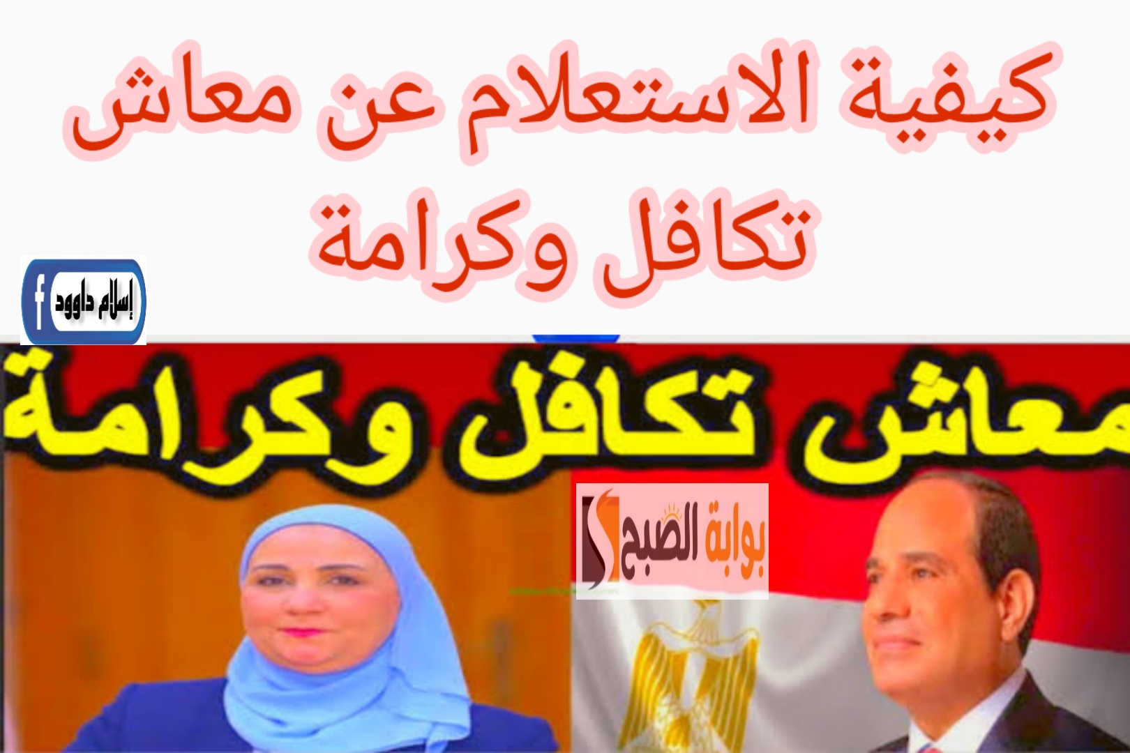 كيفية الاستعلام عن معاش تكافل وكرامة بالرقم القومي 5 كيفية الاستعلام عن معاش تكافل وكرامة بالرقم القومي