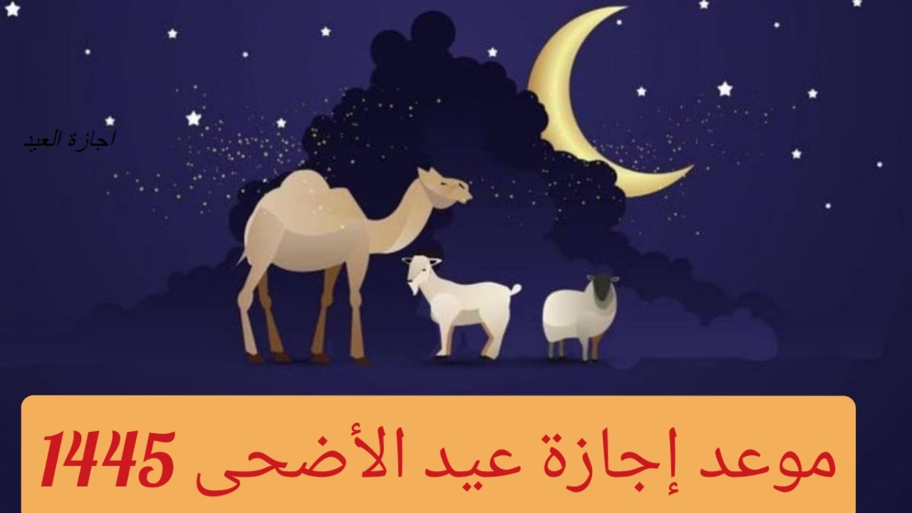 تعرف موعد إجازة عيد الأضحى في القطاعات المختلفة في المملكة السعودية 5 تعرف موعد إجازة عيد الأضحى في القطاعات المختلفة في المملكة السعودية