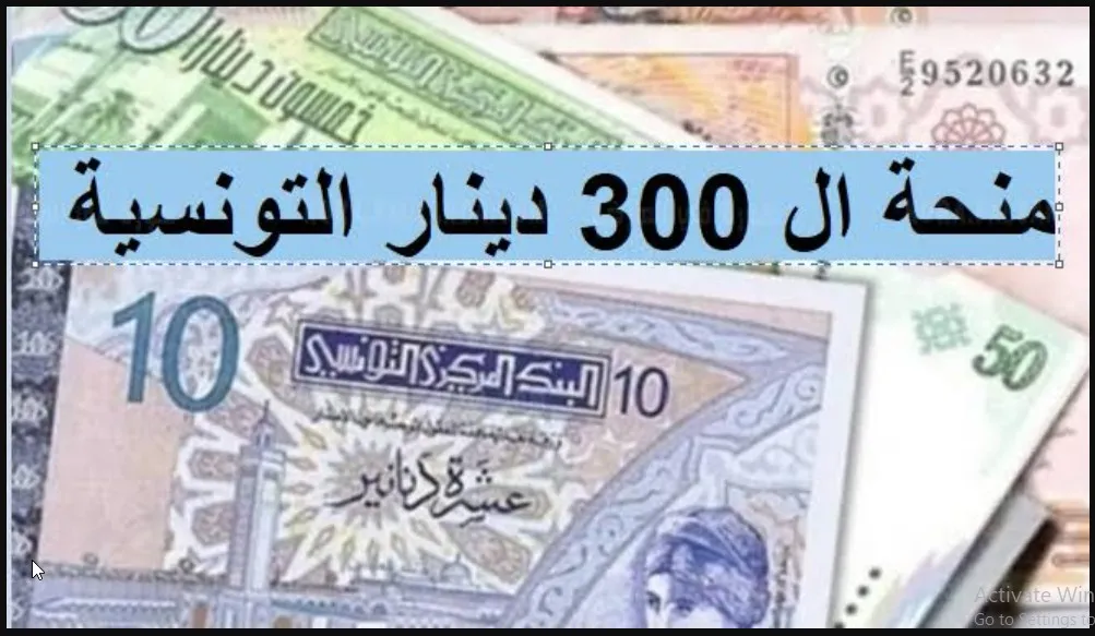 “وزارة الشؤون الاجتماعية social.gov.tn/ar“ التسجيل في منحة 300 دينار 2024 تونس والشروط الموضوعة 5 “وزارة الشؤون الاجتماعية social.gov.tn/ar“ التسجيل في منحة 300 دينار 2024 تونس والشروط الموضوعة