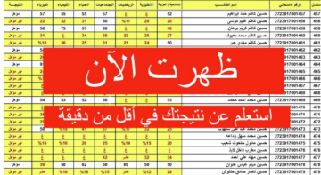 وزارة التعليم العراقية تعلن رسميا.. رابط نتائج الصف السادس الابتدائي للدور الأول 2024