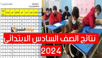 استعلام عن نتيجة الصف السادس الابتدائي 2024 ترم ثاني من موقع وزارة التربية والتعليم محافظة القاهرة