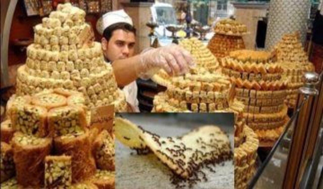 ما هو السر وراء عدم وجود نمل في محلات الحلويات والمخابز مكون عبقري للتخلص من النمل وجميع الحشرات نهائيا 5 ما هو السر وراء عدم وجود نمل في محلات الحلويات والمخابز مكون عبقري للتخلص من النمل وجميع الحشرات نهائيا