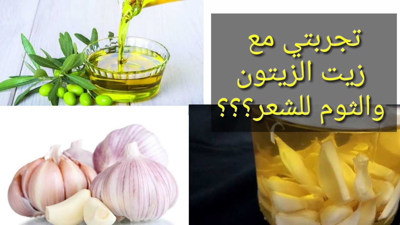 فوائد الثوم وزيت الزيتون..ووصفة خطيرة للعناية بالشعر وزيادة طوله وكثافته 5 فوائد الثوم وزيت الزيتون..ووصفة خطيرة للعناية بالشعر وزيادة طوله وكثافته