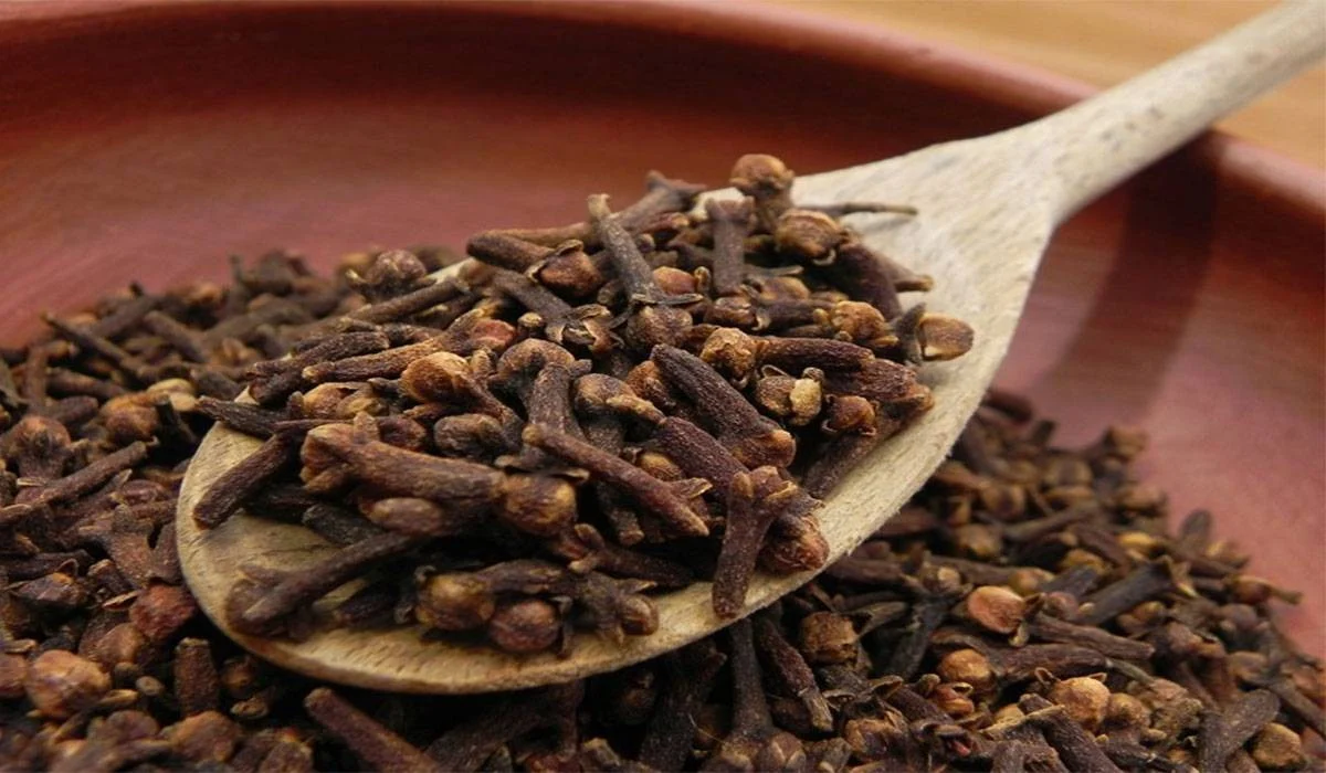 عطري بيتك بكل سهولة.. خطوات زراعة القرنفل داخل المنزل 5 عطري بيتك بكل سهولة.. خطوات زراعة القرنفل داخل المنزل