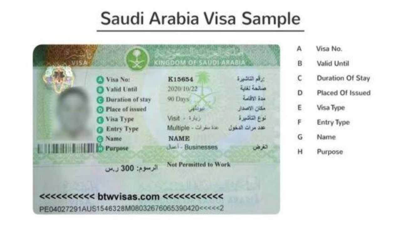الاستعلام عن تأشيرة الزيارة العائلية و أنواع تأشيرة السعودية