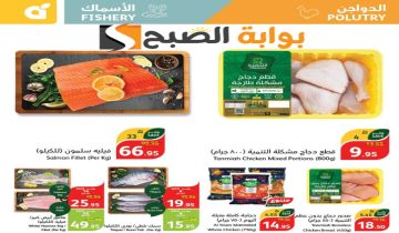 فرصة للشراء.. عروض بنده السعودية اليوم على المنتجات الغذائية الطازجة متوفرة حتى 7 مايو 2024