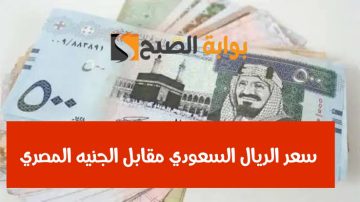 بكام الريال النهارده.. تعرف على سعر الريال السعودي مقابل الجنيه المصري اليوم الجمعه 3 مايو 2024
