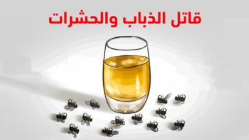 للقضاء علية بشكل نهائي.. أسرع طريقة للتخلص من الذباب بدون مبيدات