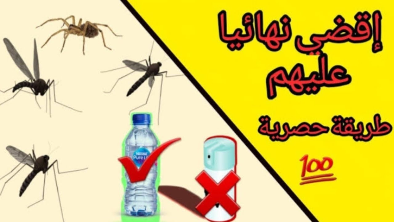 الحل الأمثل | طرق عبقرية للتخلص من الناموس في الصيف!! 5 الحل الأمثل | طرق عبقرية للتخلص من الناموس في الصيف!!
