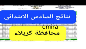 ظهرت الآن| نتائج السادس الابتدائي 2024 كربلاء موقع نتائجنا بالاسم والرقم الامتحاني