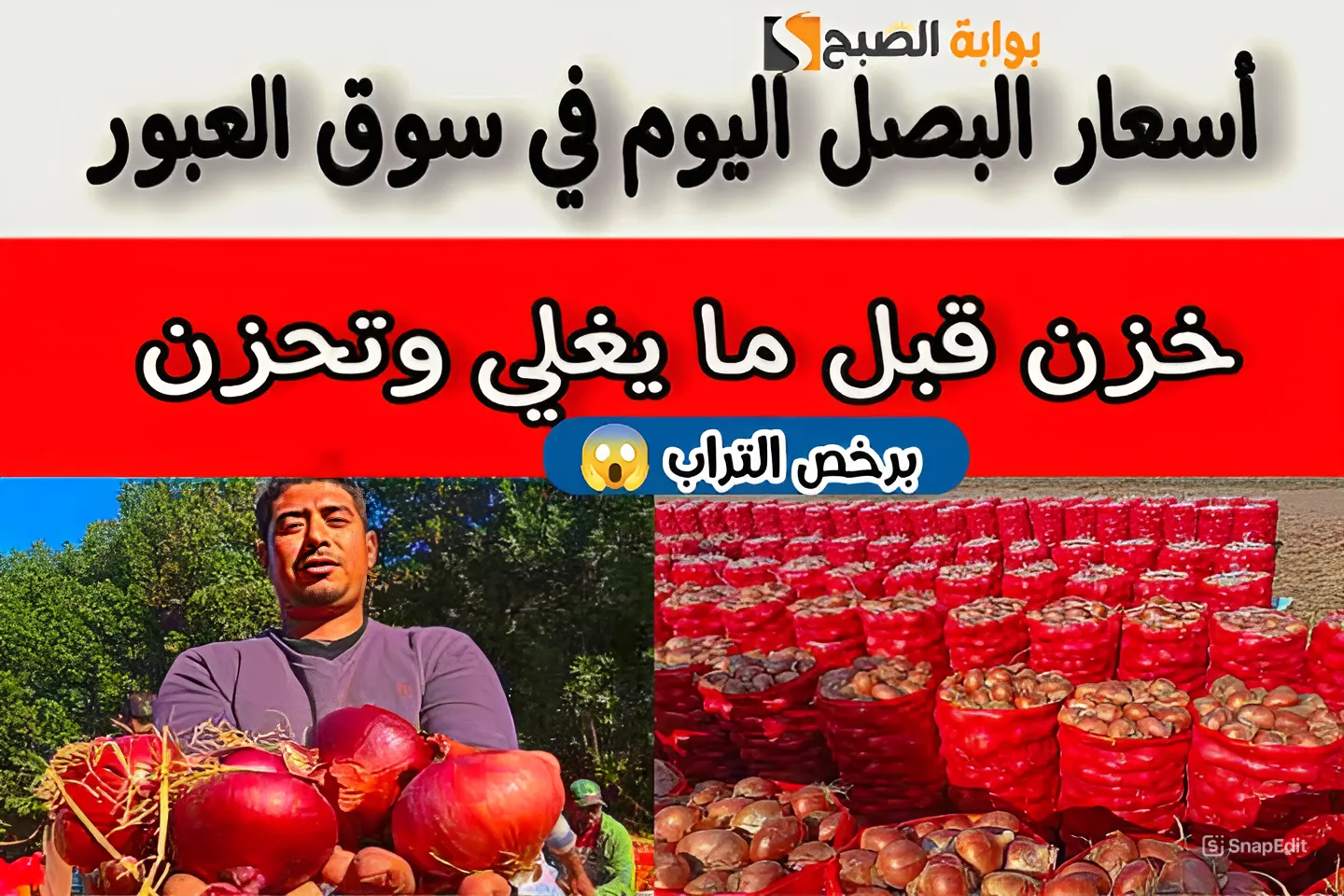 الكيلو بـ6 جنيه.. انخفاض كبير في أسعار البصل اليوم الثلاثاء 21 مايو 2024 وهذا هو سبب الانخفاض؟! 5 الكيلو بـ6 جنيه.. انخفاض كبير في أسعار البصل اليوم الثلاثاء 21 مايو 2024 وهذا هو سبب الانخفاض؟!