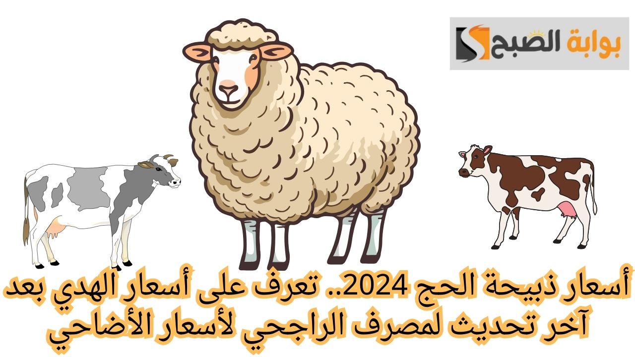 أسعار ذبيحة الحج 2024.. تعرف على أسعار الهدي بعد آخر تحديث لمصرف الراجحي لأسعار الأضاحي
