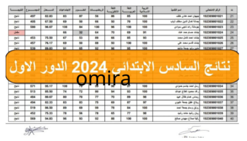 الآن ظهرت بالاسم والرقم الامتحاني| رابط نتائج الصف السادس الابتدائي العراق 2024 الرصافة الاولى pdf عبر results.mlazemna