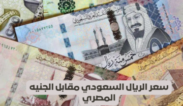 تحديث جديد| سعر الريال السعودي أمام الجنيه والدولار والعملات المختلفة اليوم الثلاثاء 13-8