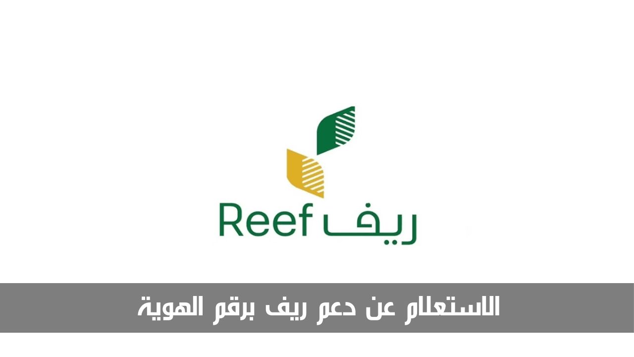 يمكنك الآن الاستعلام عن دعم ريف برقم الهوية إلكترونيًا.. إليك الخطوات التفصيلية للقيام بذلك