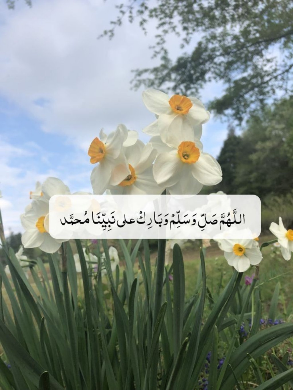 أفضل صيغة للصلاة على النبي يوم الجمعة…بركة ونور وغفران 5 أفضل صيغة للصلاة على النبي يوم الجمعة…بركة ونور وغفران