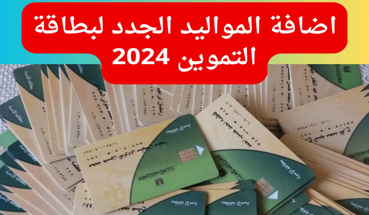 الفئات المستحقة لإضافة المواليد في بطاقات التموين وشروط إضافة المواليد 5 الفئات المستحقة لإضافة المواليد في بطاقات التموين وشروط إضافة المواليد