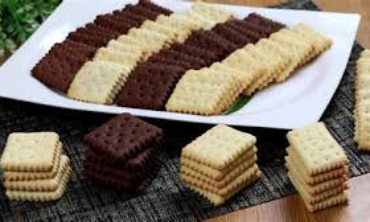 بسكويت الشوكولاتة بالكاكاو بحشوة الكريمة مناسب ومغذي للأطفال 5 بسكويت الشوكولاتة بالكاكاو بحشوة الكريمة مناسب ومغذي للأطفال