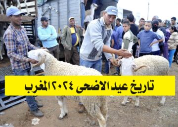 متى تاريخ عيد الاضحى 2024 المغرب؟.. تعرف على موعد عيد الأضحى ووقفة عرفات وعدد أيام الاجازة