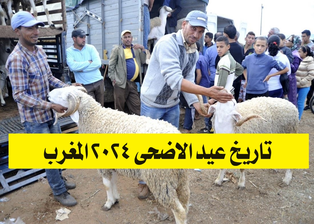 متى تاريخ عيد الاضحى 2024 المغرب؟.. تعرف على موعد عيد الأضحى ووقفة عرفات وعدد أيام الاجازة