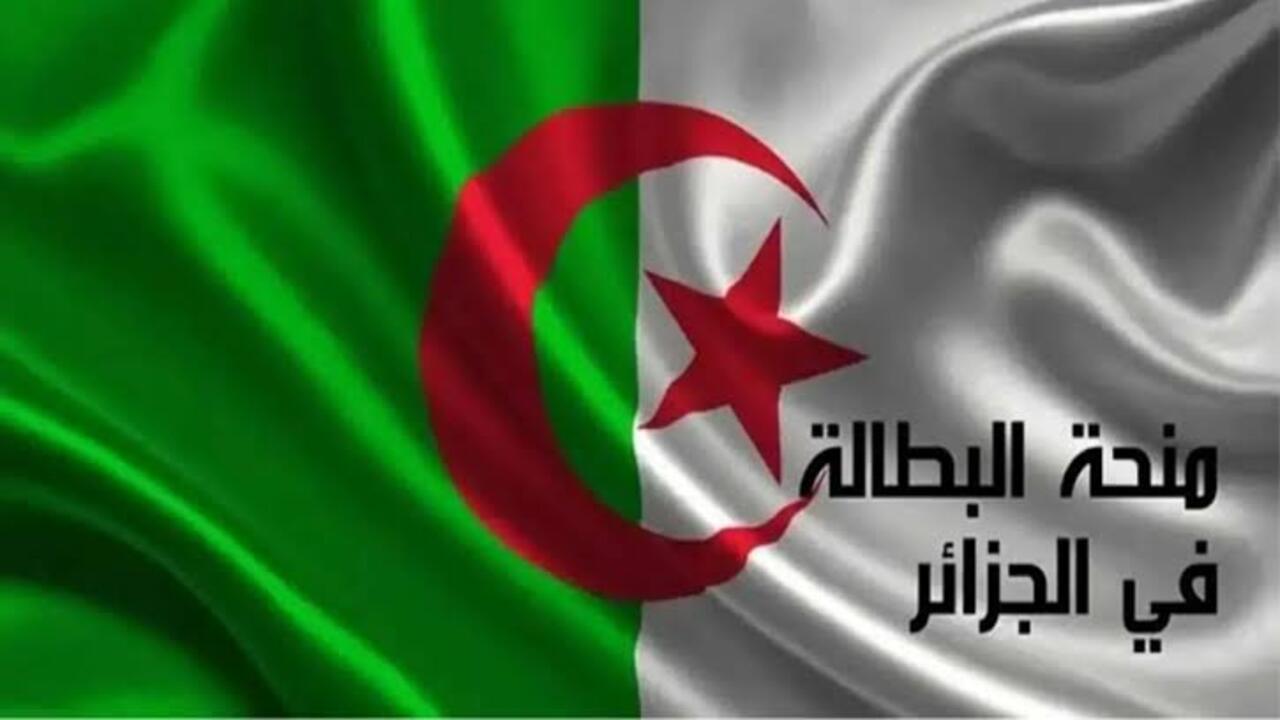 رابط تجديد منحة البطالة في الجزائر 2024 عبر موقع الوكالة الوطنية الجزائرية 5 رابط تجديد منحة البطالة في الجزائر 2024 عبر موقع الوكالة الوطنية الجزائرية
