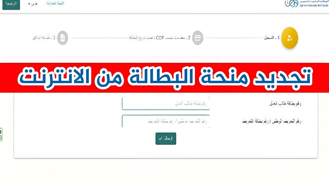 الآن.. رابط تجديد منحة البطالة 2024 minha.anem.dz وخطوات التجديد