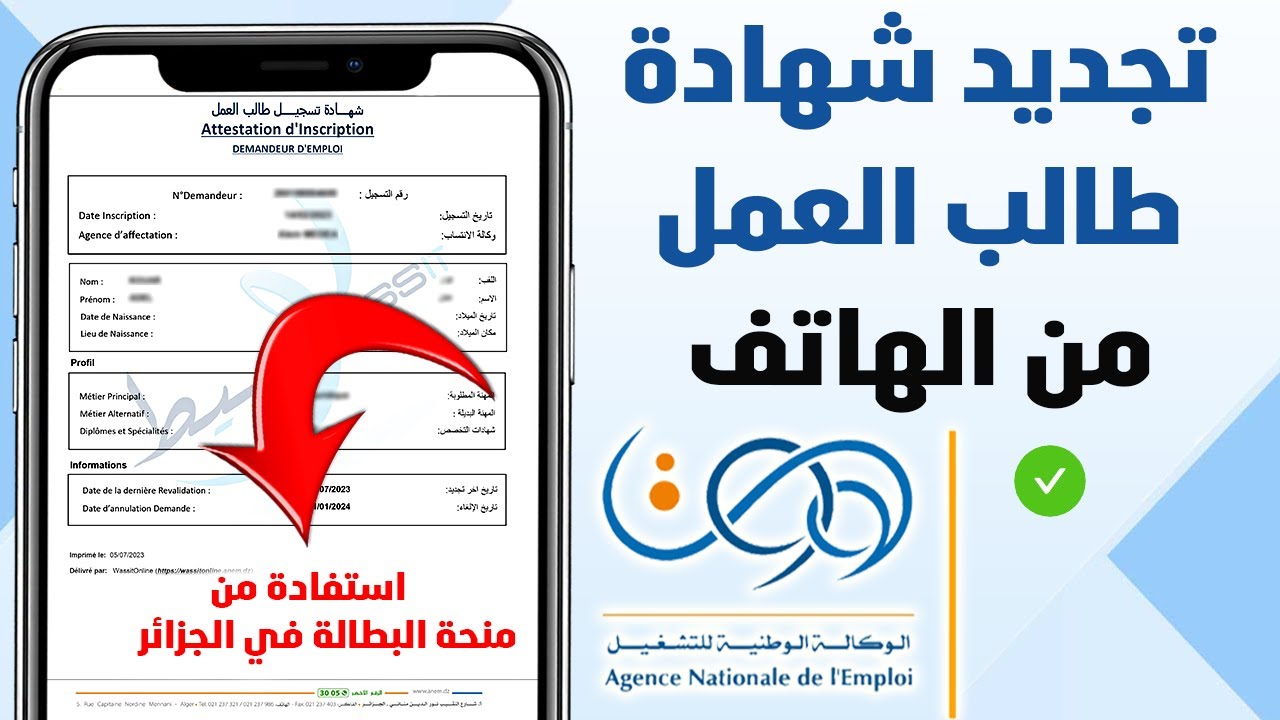 “من هنــا anem.dz” رابط تجديد منحه البطاله كل 6 شهور فى الجزائر 2024 والشروط المطلوبة للتجديد