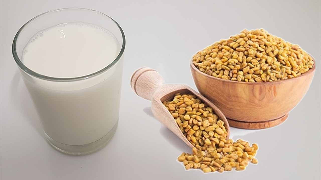 فوائد الحلبة بالحليب للأمهات.. طريقة تحضير أفضل كوب حلبة بالحليب 5 فوائد الحلبة بالحليب للأمهات.. طريقة تحضير أفضل كوب حلبة بالحليب