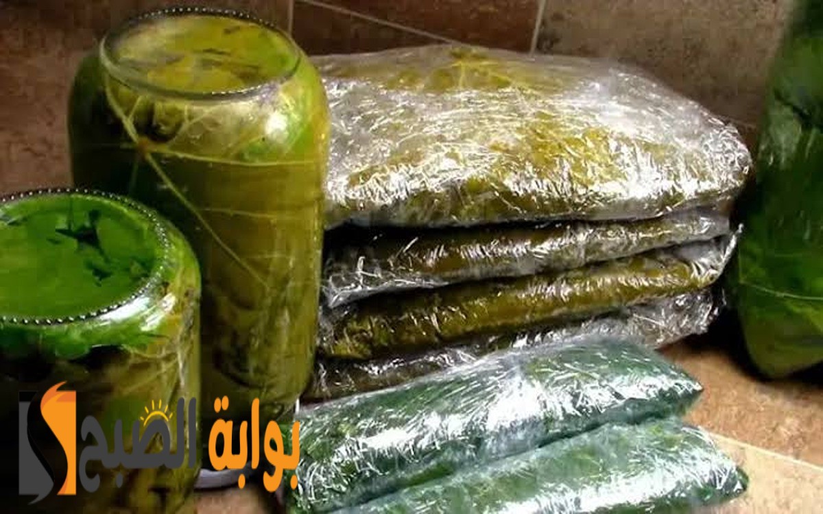 وفري وقتك وجهدك واستمتعي بمحشي ورق العنب طوال العام.. 3 طرق تخزين صحية 5 وفري وقتك وجهدك واستمتعي بمحشي ورق العنب طوال العام.. 3 طرق تخزين صحية