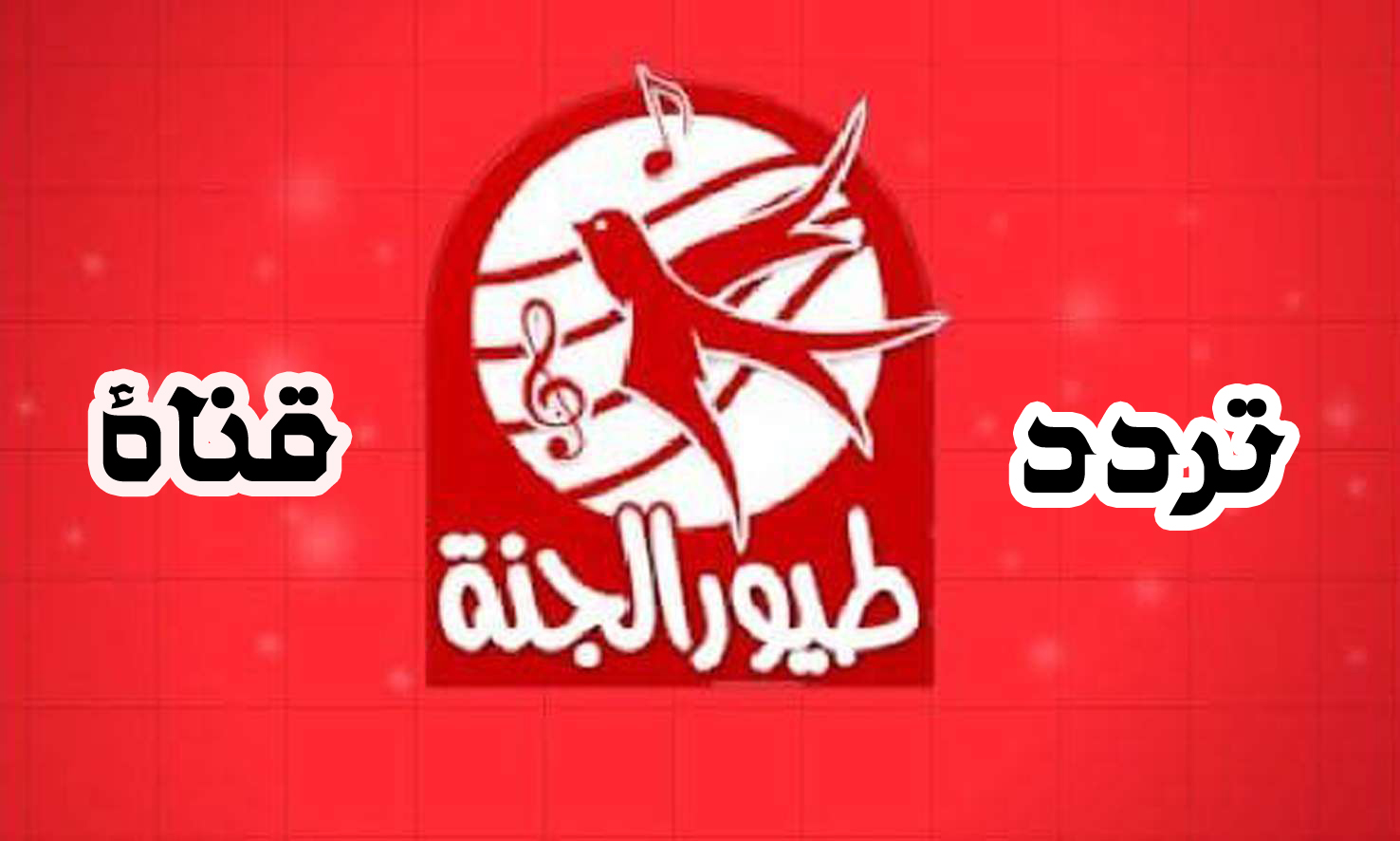 تردد قناة طيور الجنة 2025 القناة الفضائية الشهيرة على النايل سات والعرب سات