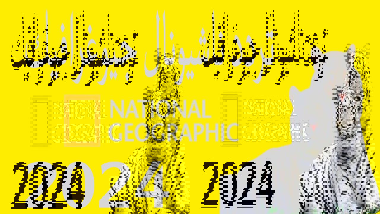 استمتع بالمغامرات والحقائق المدهشة.. تردد قناة ناشيونال جيوغرافيك أبوظبي نايل سات 2024