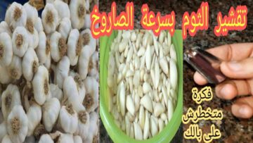 فكرة هتعجبك.. طريقة تقشير كمية كبيرة من الثوم بسرعة بأداة بسيطة موجودة في مطبخك هتريحك كثير