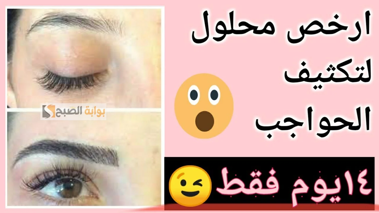 هتزود جمالك.. مع وصفه طبيعية لتكثيف الحواجب مش هتحتاجى لمايكروبليدنج 5 هتزود جمالك.. مع وصفه طبيعية لتكثيف الحواجب مش هتحتاجى لمايكروبليدنج