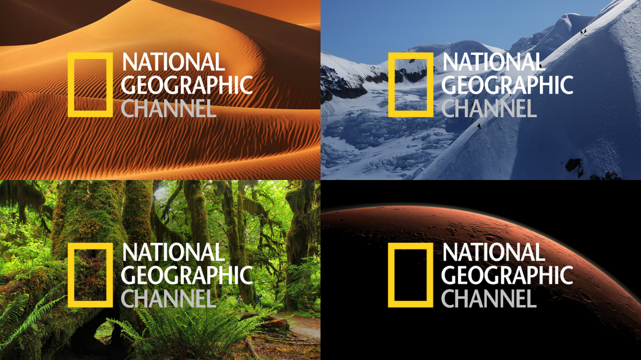 رحلات الحيوانات المذهلة.. تردد قناة ناشيونال جيوغرافيك نايل سات 2024 nat geo abu dhabi جودة عالية HD