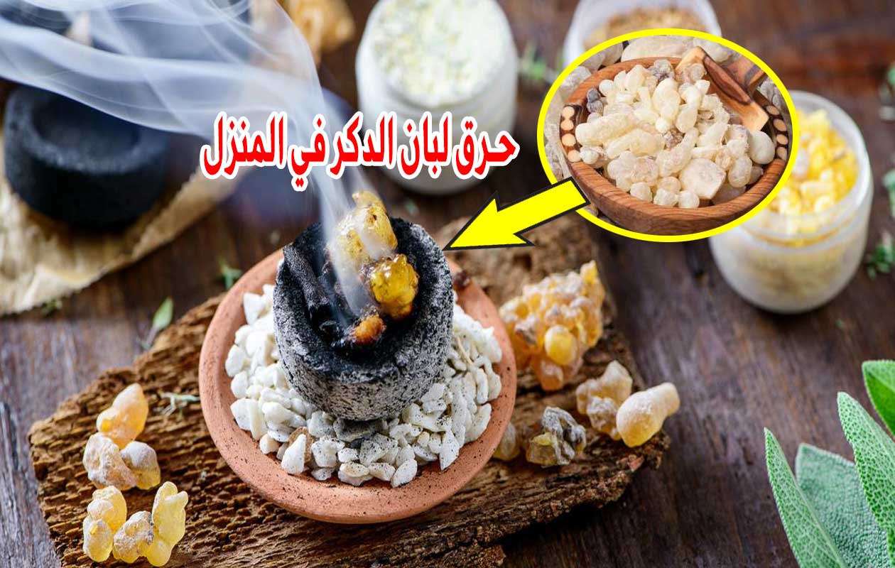 كنز في بيتك.. حرق لبان الدكر في المنزل فوائد سحريه لن تصدق ماذا يحدث 5 كنز في بيتك.. حرق لبان الدكر في المنزل فوائد سحريه لن تصدق ماذا يحدث