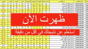موقع نتائج السادس الابتدائي في العراق الدور الاول 2024 جميع المحافظات