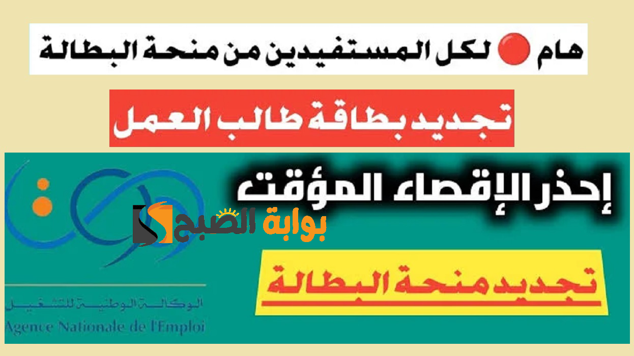 "anem.dz" لينك تجديد منحة البطالة بالجزائر 2024 الوكالة الوطنية للتشغيل والشروط المطلوبة برابط شغال 5 “anem.dz” لينك تجديد منحة البطالة بالجزائر 2024 الوكالة الوطنية للتشغيل والشروط المطلوبة برابط شغال