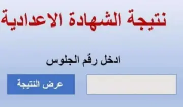 NOW رابط نتيجة الشهادة الاعدادية 2024 في محافظة القاهرة عبر بوابة التعليم الاساسي eduserv.cairo.gov.eg بالالوان