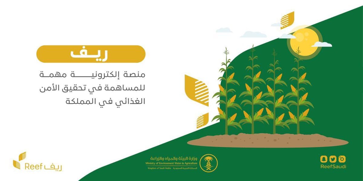 طريقة الاستعلام عن دعم ريف برقم الهوية 1445 عبر موقع reef.gov.sa