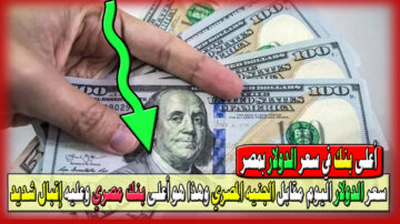 انخفاض سعر الدولار اليوم مقابل الجنيه المصري وهذا هو أعلى بنك مصري في صرف العملة الخضراء عليه إقبال شديد