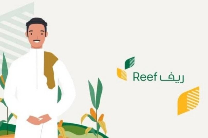 هل يؤثر دعم ريف على الضمان المطور؟ وزارة الموارد البشرية توضح