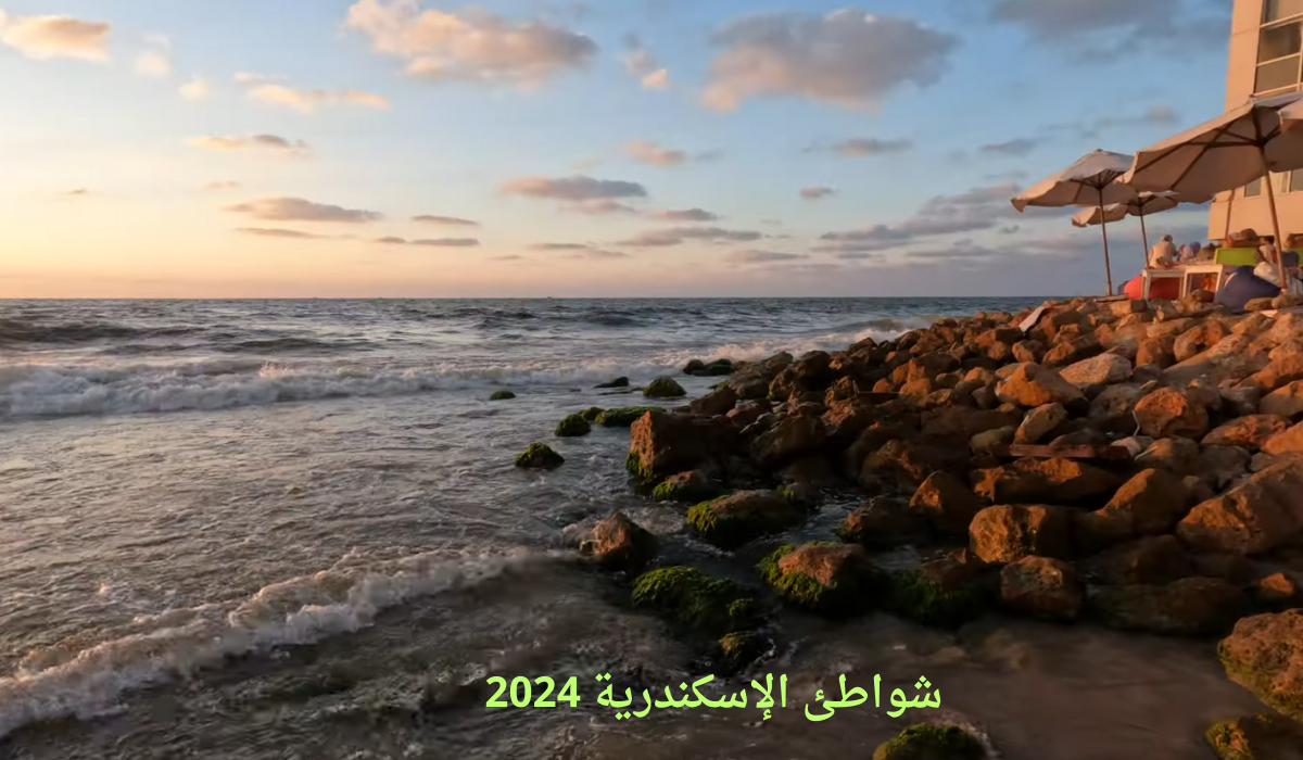 ما هو سعر تذكرة دخول شواطئ الاسكندرية 2024 للفرد والعائلة بعد مشروع التوسعة الجديد؟