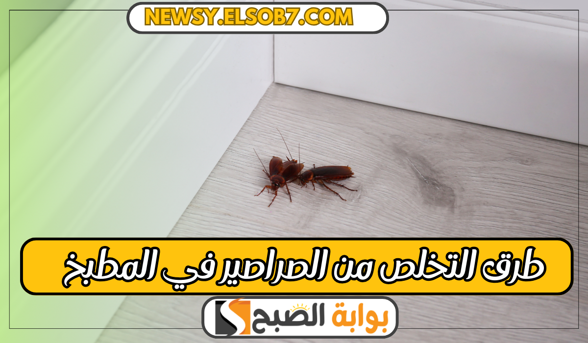 “ودعي الحشرات” طرق التخلص من الصراصير في المطبخ بمكونات من البيت وغير ضارة